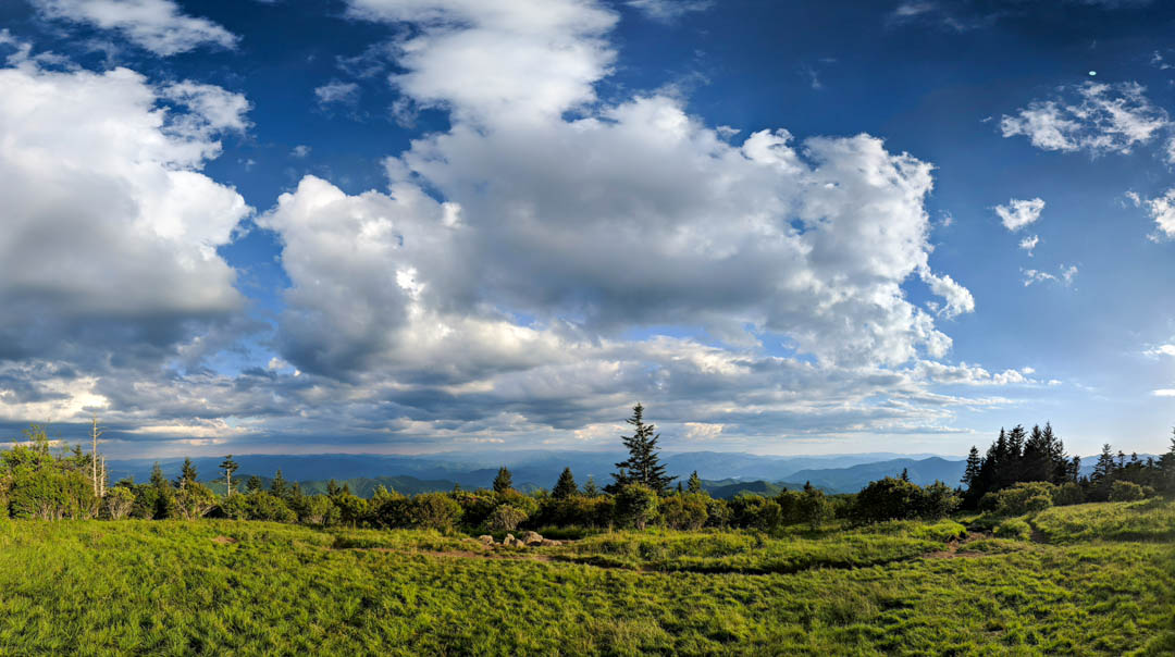 Andrews Bald Panoramic