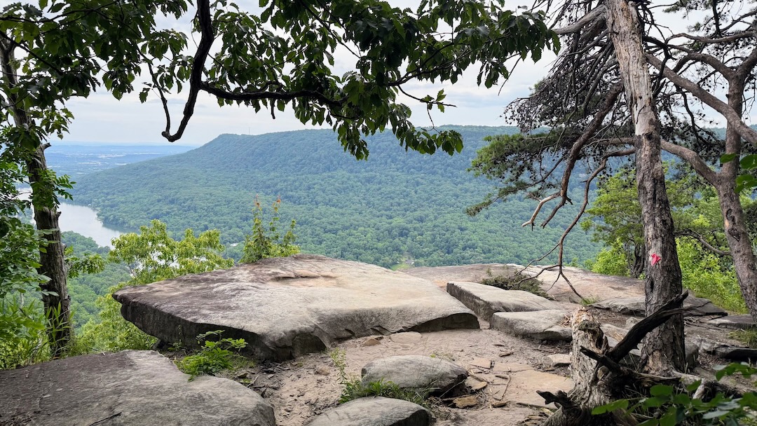 Edwards Point overlook on Signal Mountain with flat rock ledge and Tennessee River Gorge view