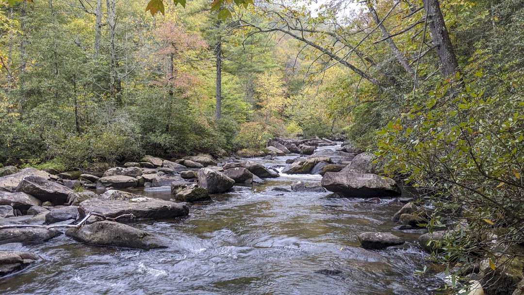 Horsepasture River, down river from the falls