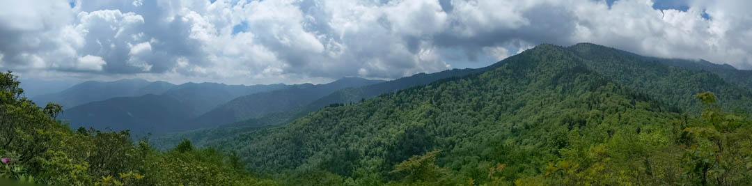 Mount Le Conte Panoramic