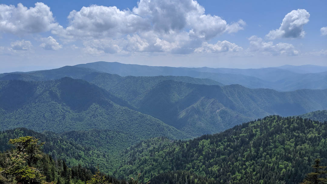 View from Mount Le Conte