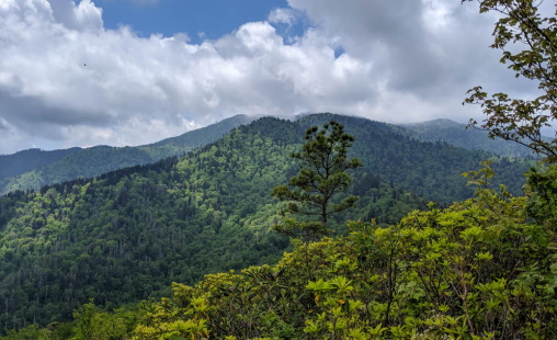 Mount Le Conte