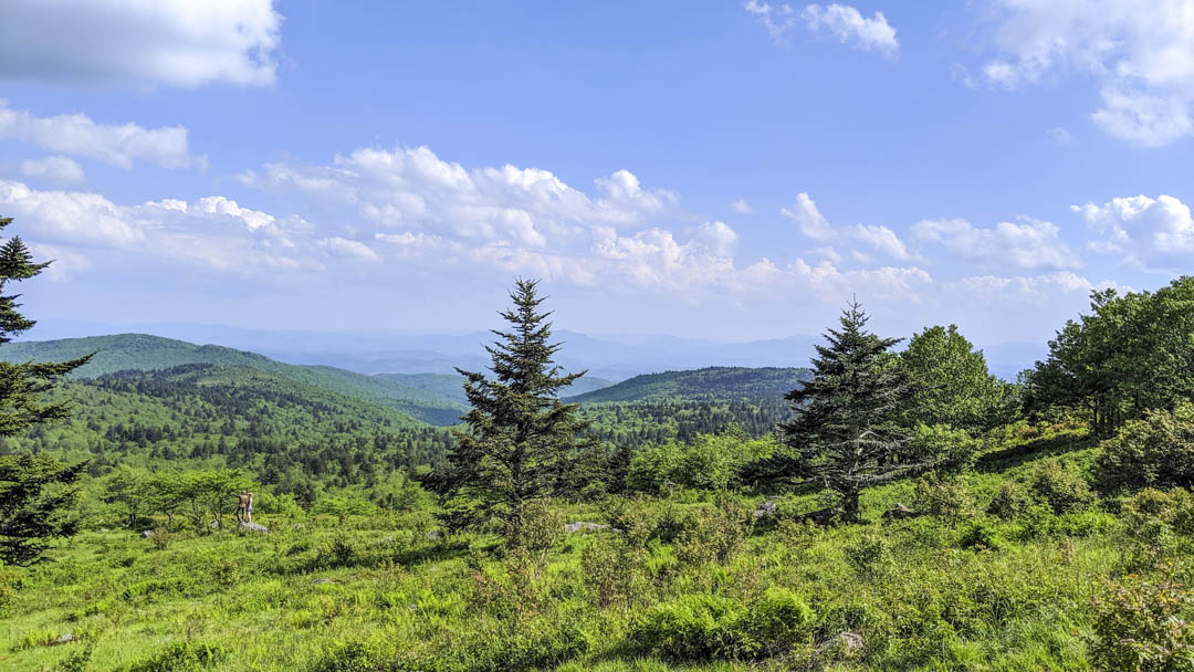 Typical view from near Mount Rogers